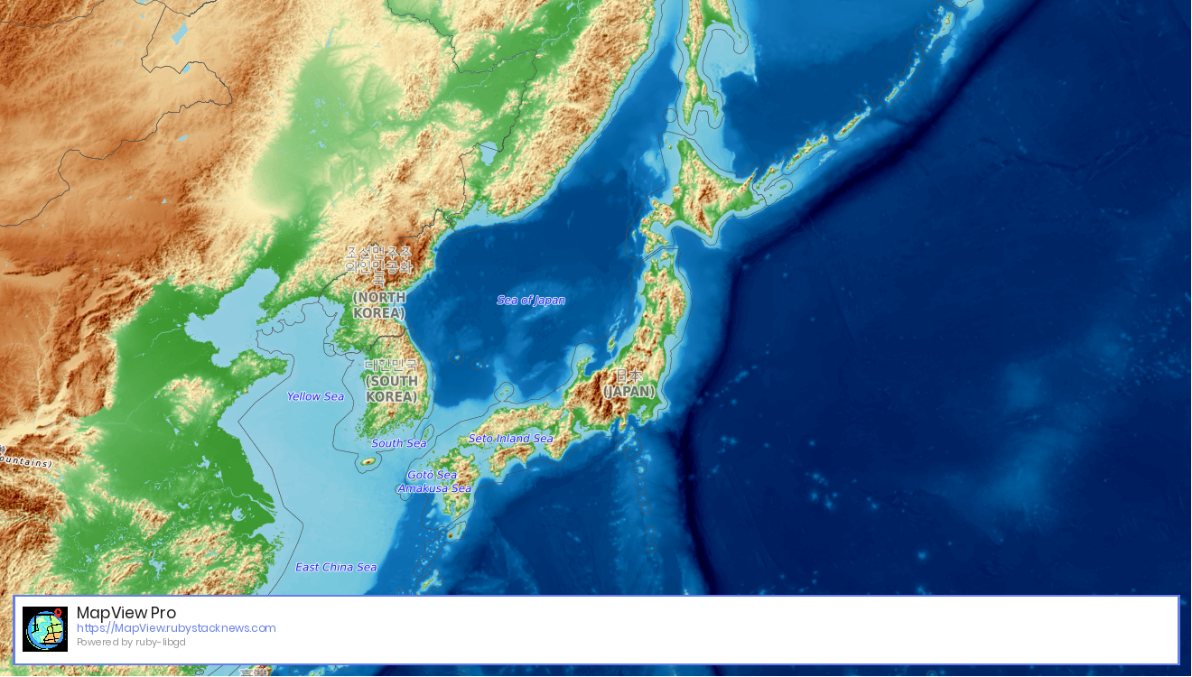 Tokyo Topographic Map